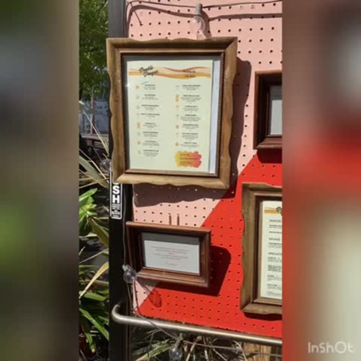 Video review of Double Dragon