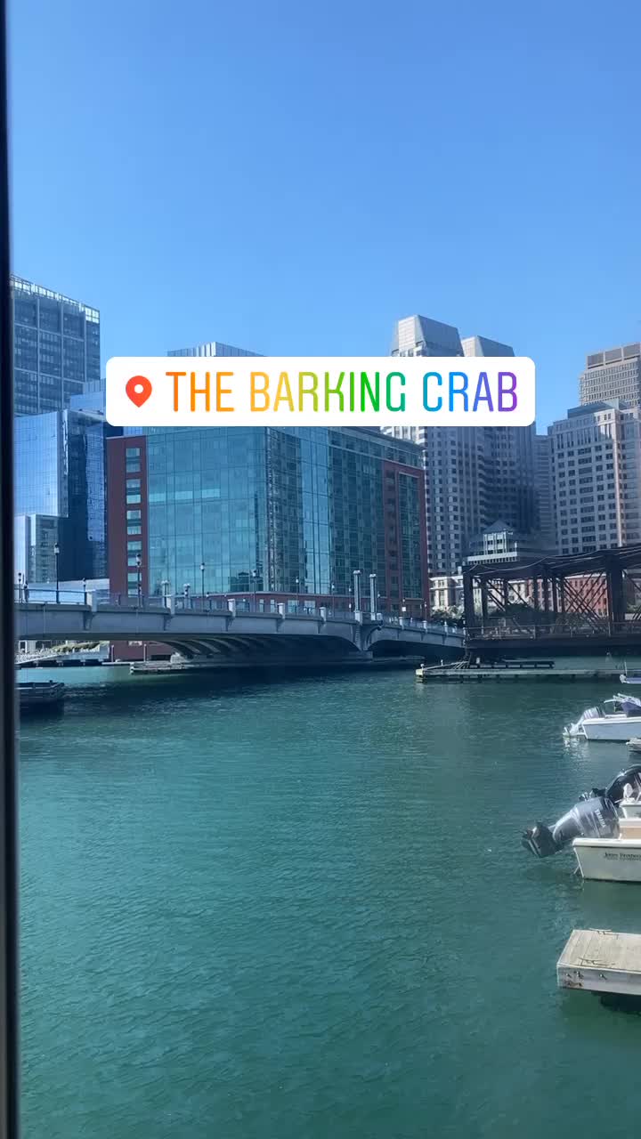 Video review of The Barking Crab