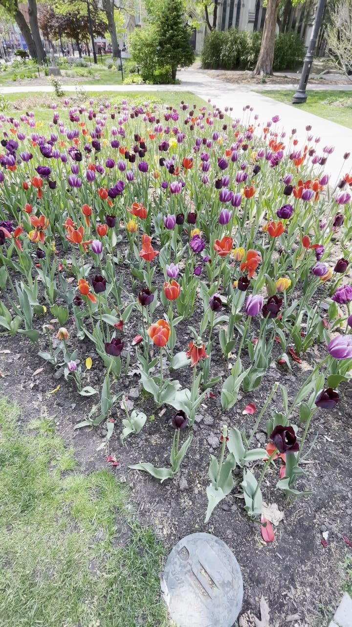 Video review of St. James Park