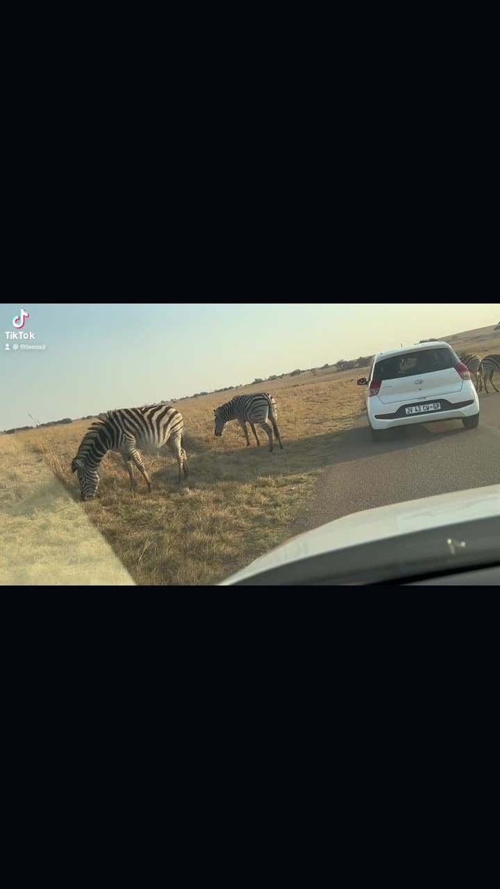 Rietvlei Nature Reserve