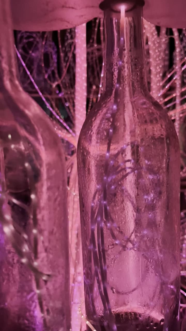 Video review of Field of Light