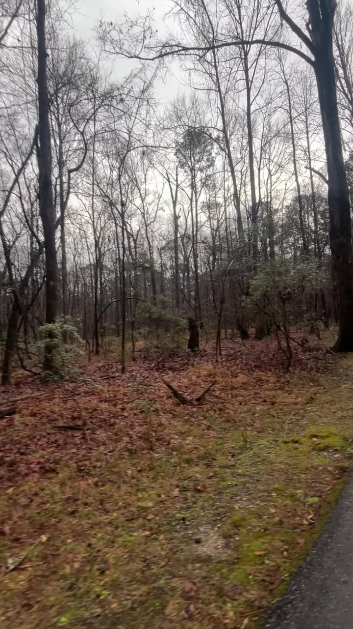 Video review of Waterfront Park