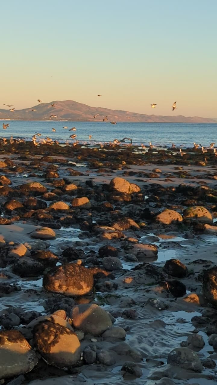 Video review of Butterfly Beach