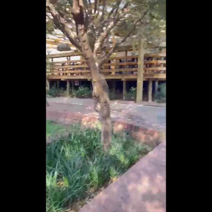 Reflections Fourways Broadacres