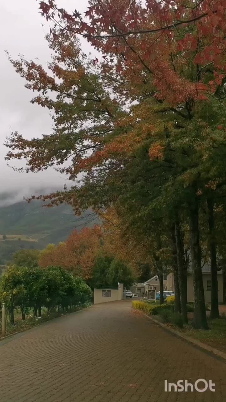 Alluvia Wine Estate Hotel Stellenbosch