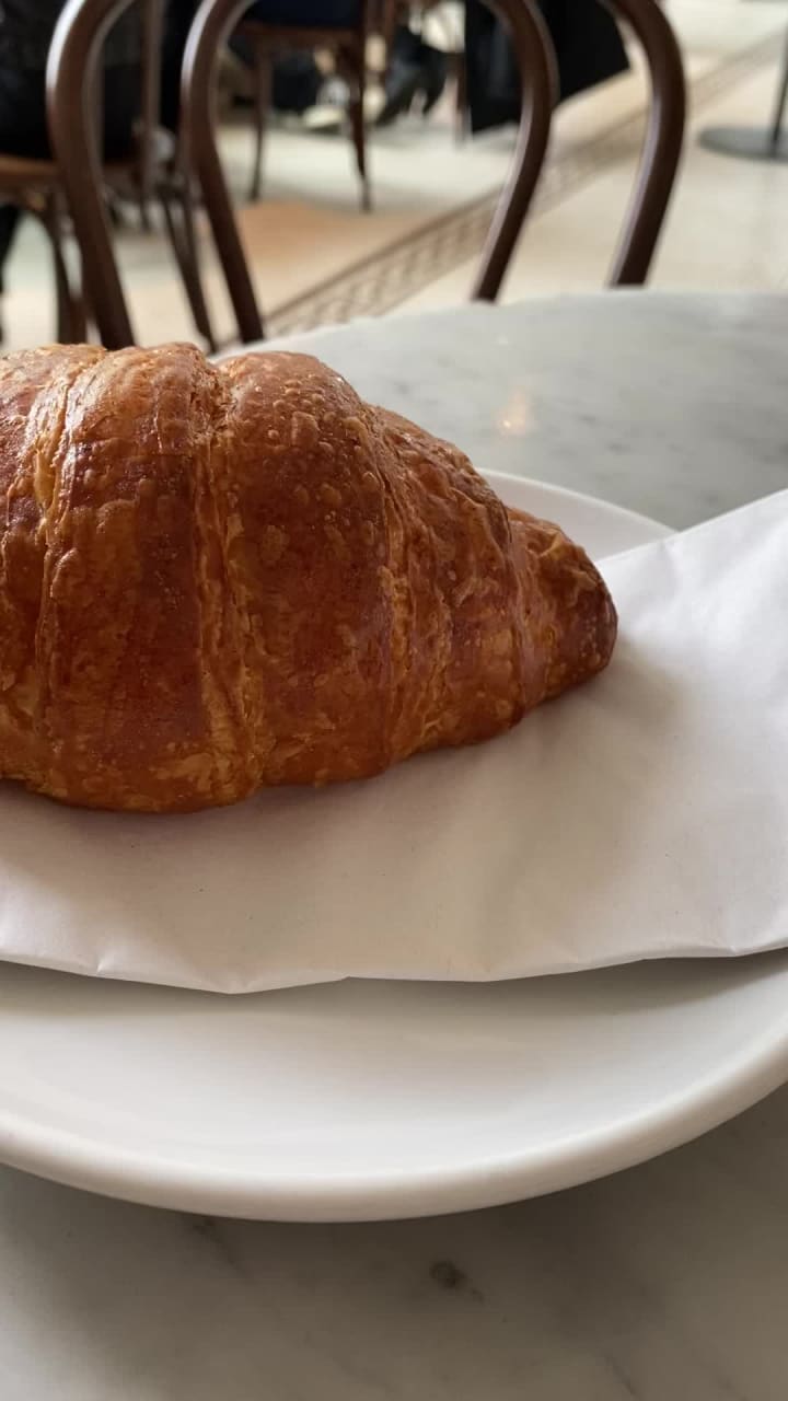 Video review of Tatte Bakery & Cafe | Fenway