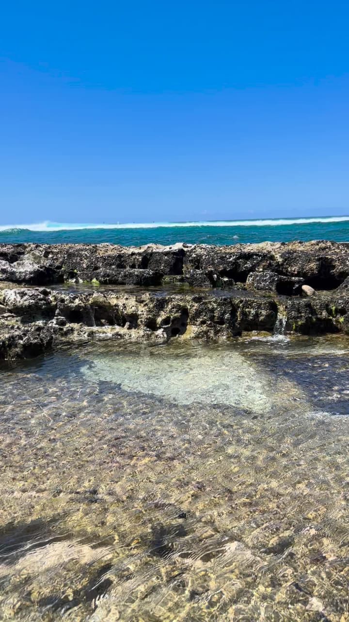 Video review of Ho‘okipa Beach Park