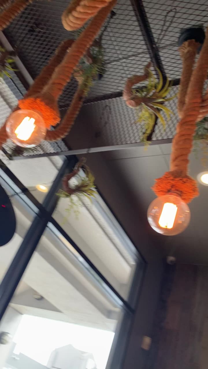 Video review of Ono Hawaiian BBQ