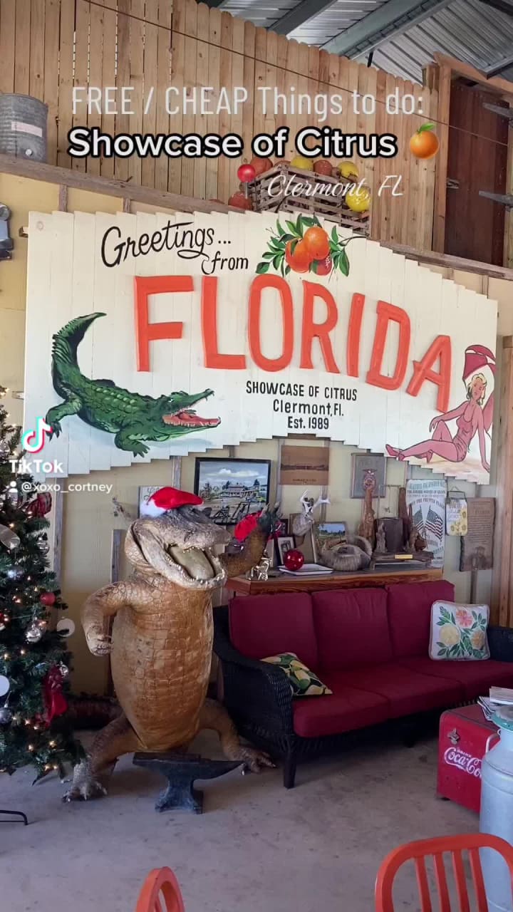 The Showcase of Citrus