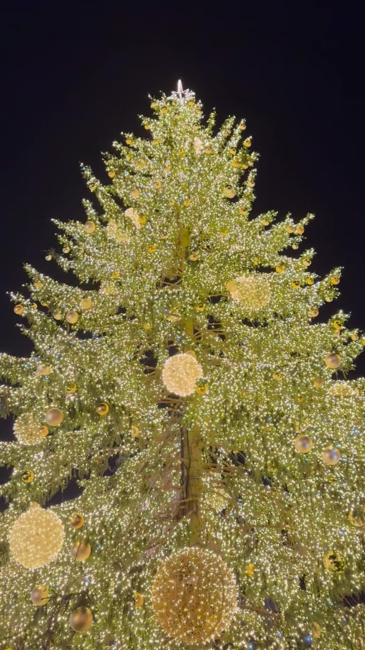 Video review of Prague Astronomical Clock (Pražský orloj)