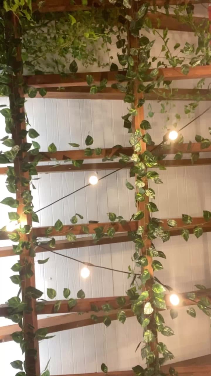 Video review of Panarottis