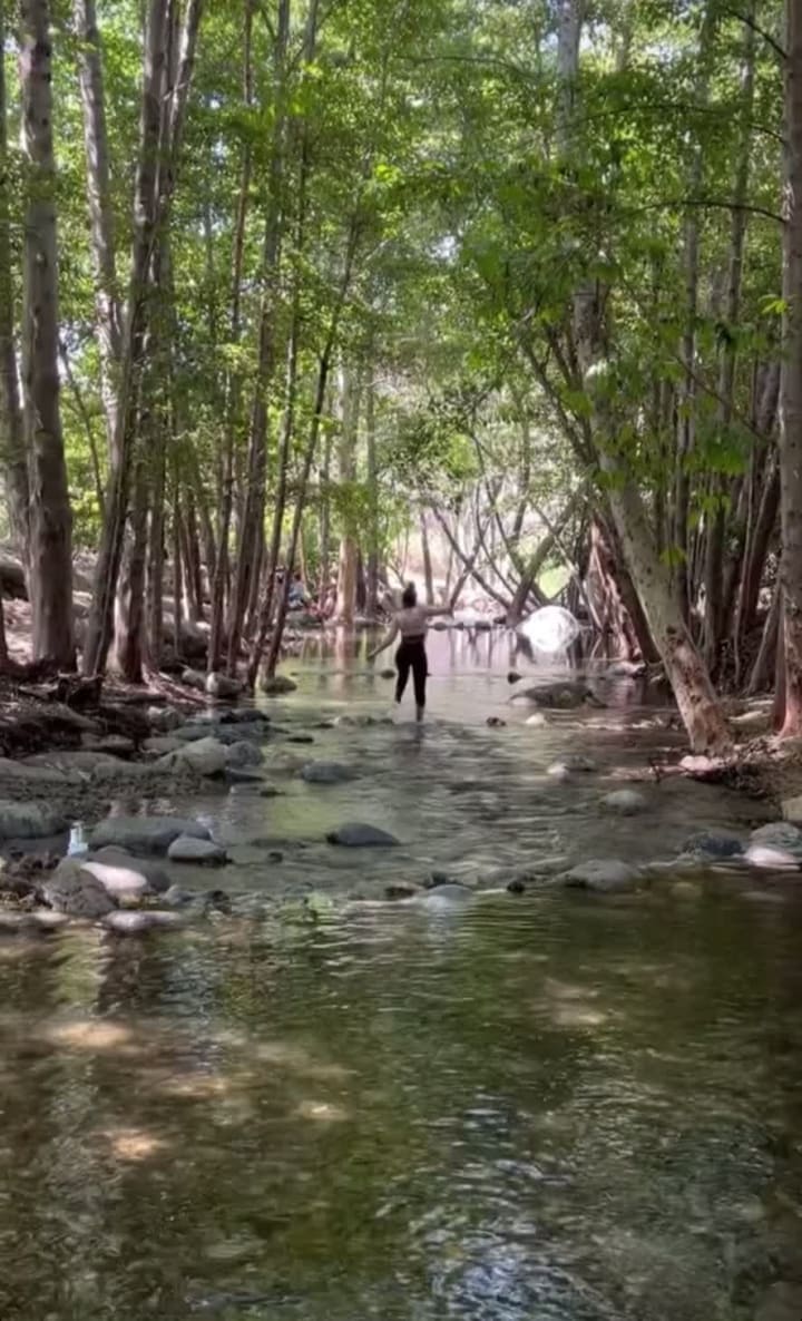 Video review of Eaton Canyon Nature Center
