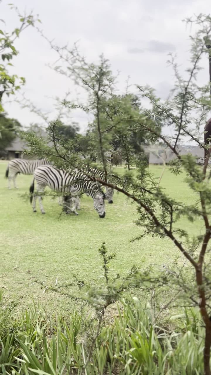 Cradle Moon Lakeside Game Lodge