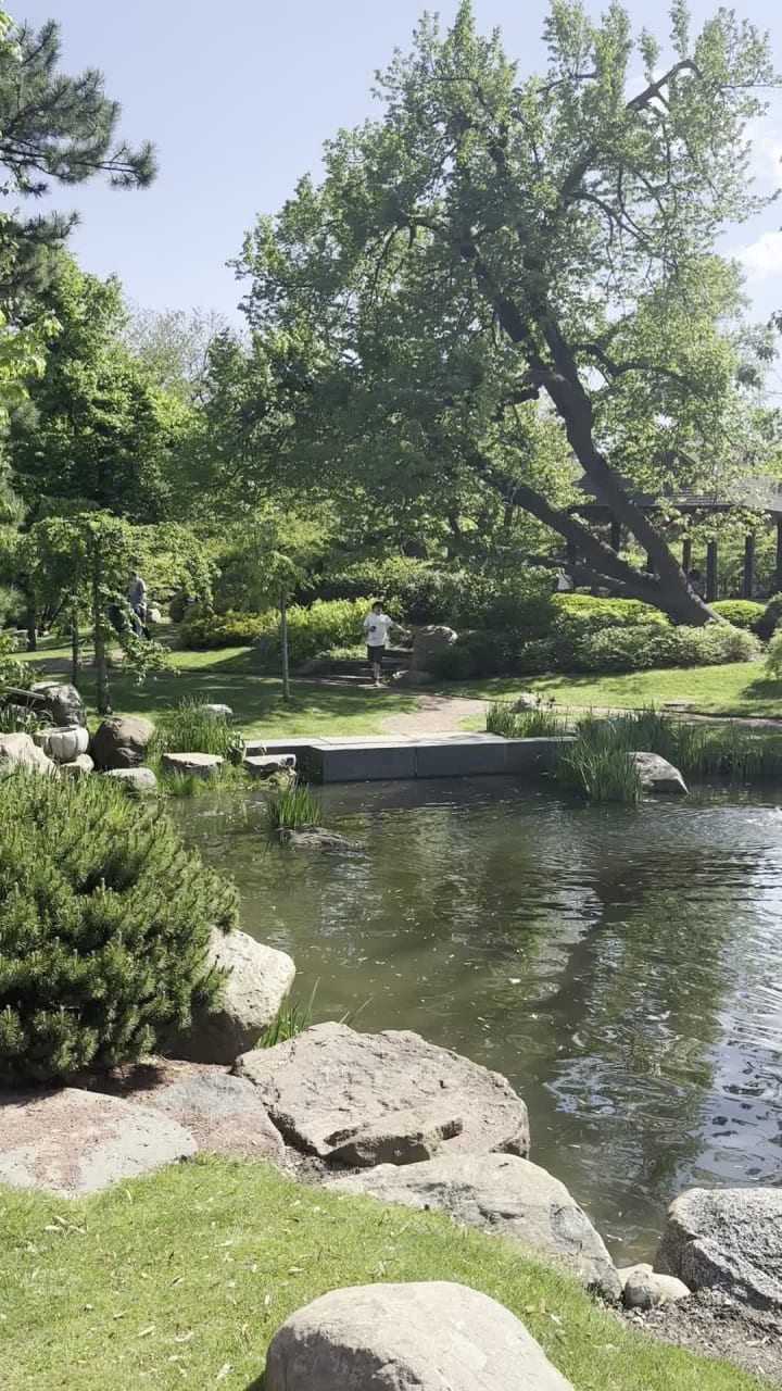 Video review of Wooded Island