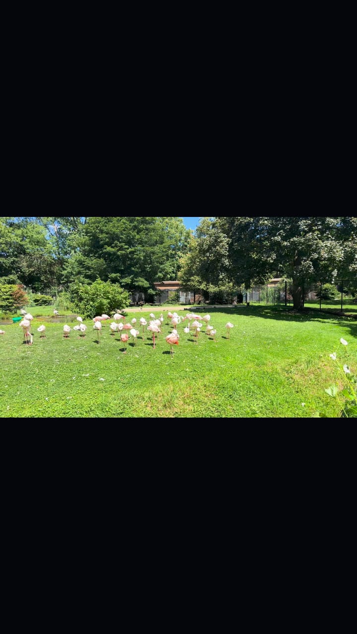 Video review of The Detroit Zoo