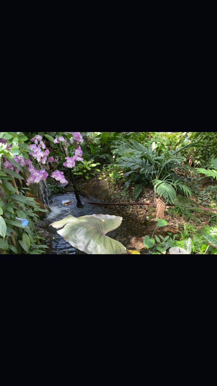 Video review of Frederik Meijer Gardens & Sculpture Park