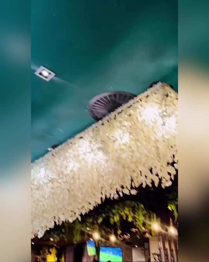 News Cafe - Rosebank