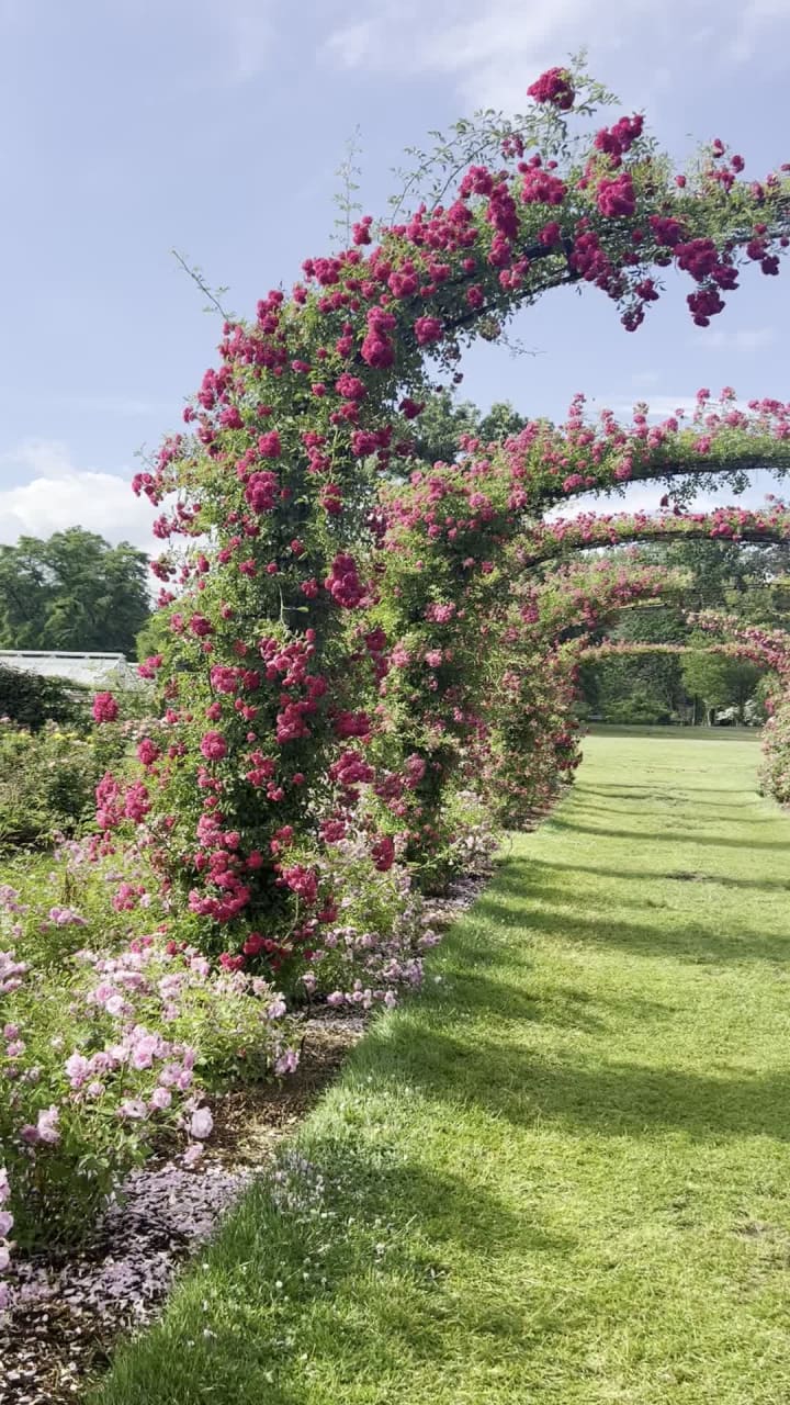 Video review of Elizabeth Park