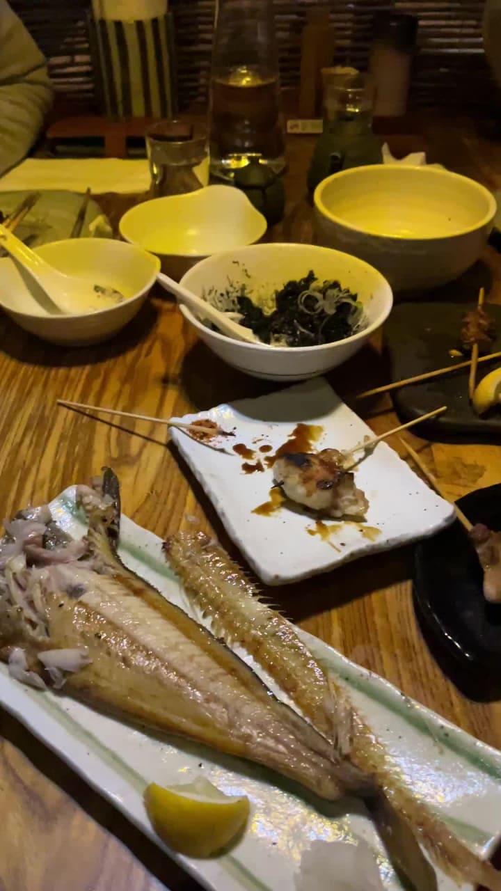 Video review of Ippuku