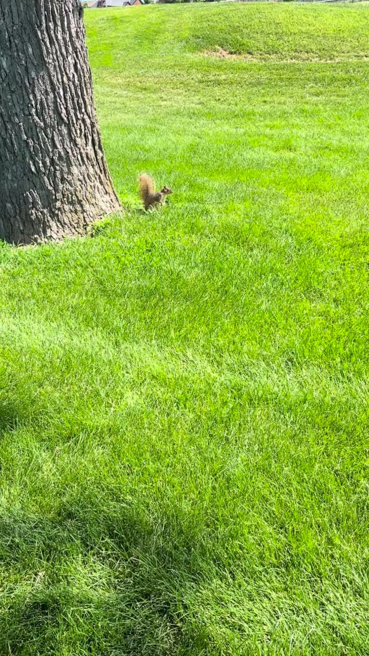 Video review of Greek Islands