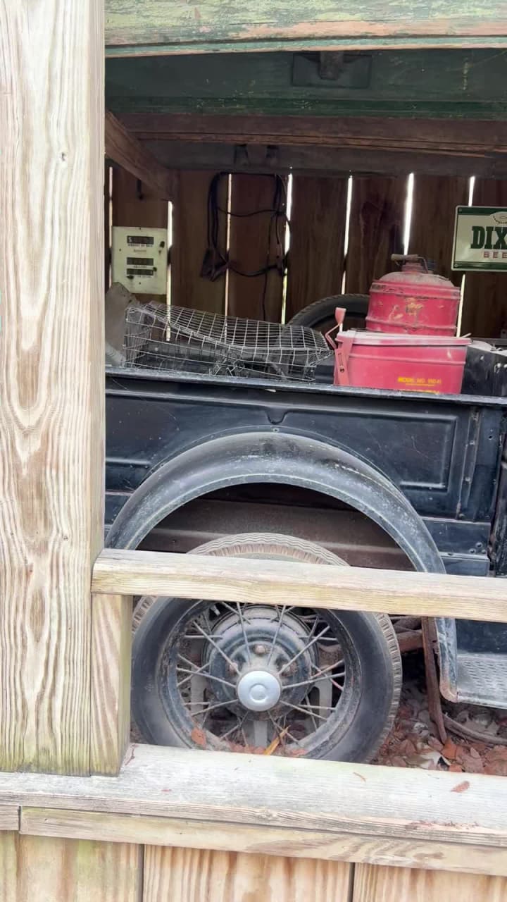 Video review of Audubon Zoo