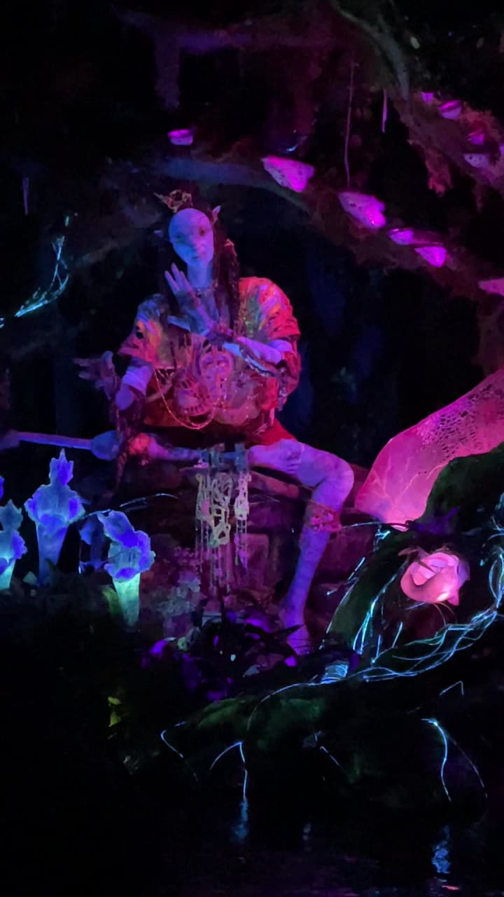 Video review of Na’vi River Journey