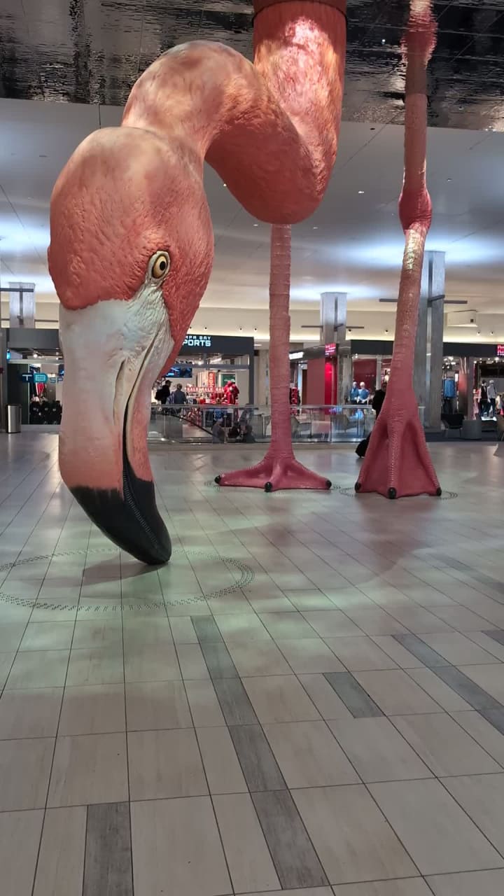 Tampa International Airport