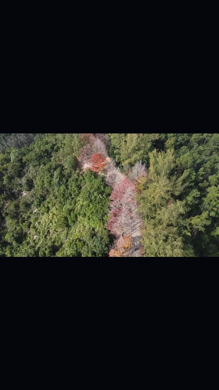 Tai Tong Organic EcoPark 大棠有機生態園