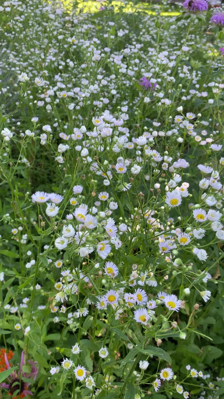 24/7 Same Day Movers