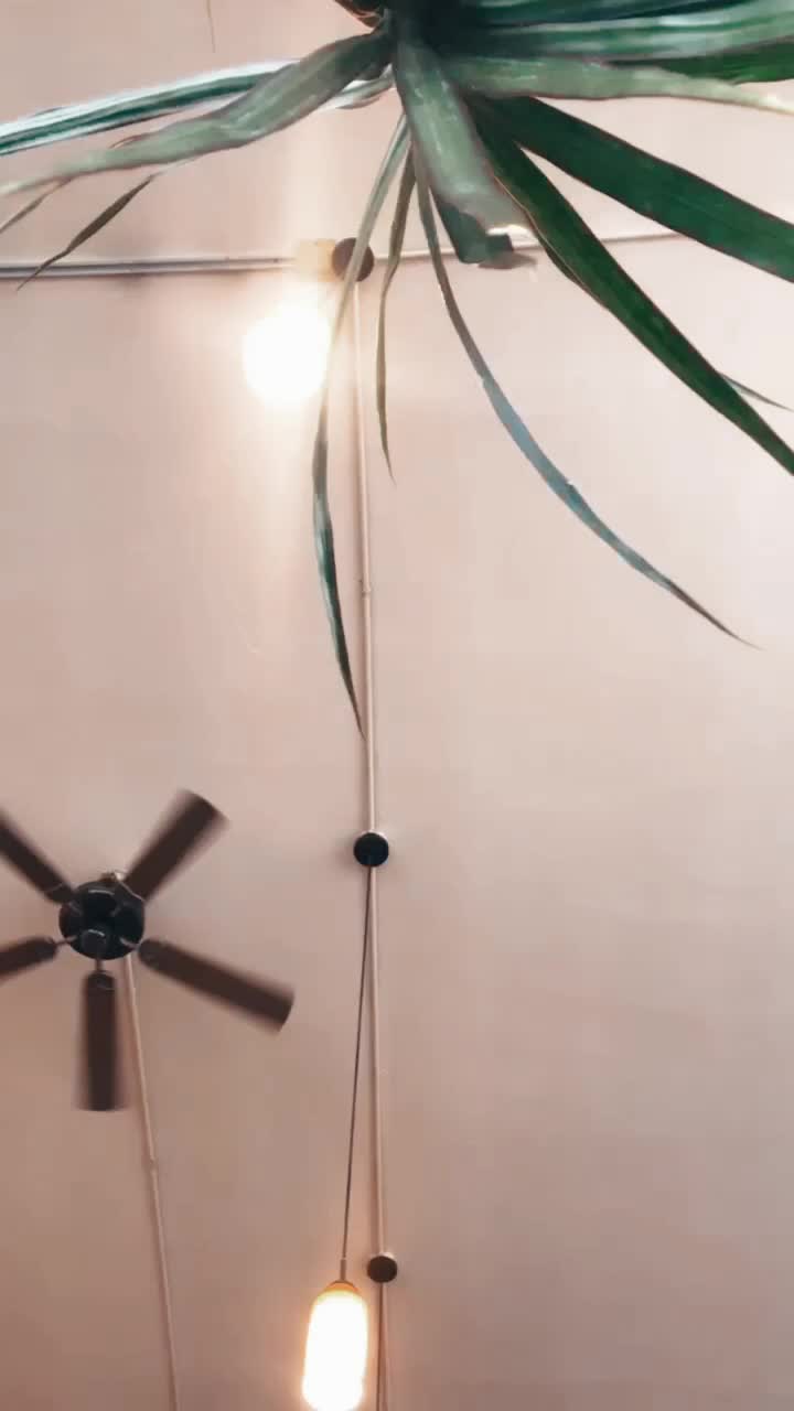 Video review of Java on Ocean Coffee House