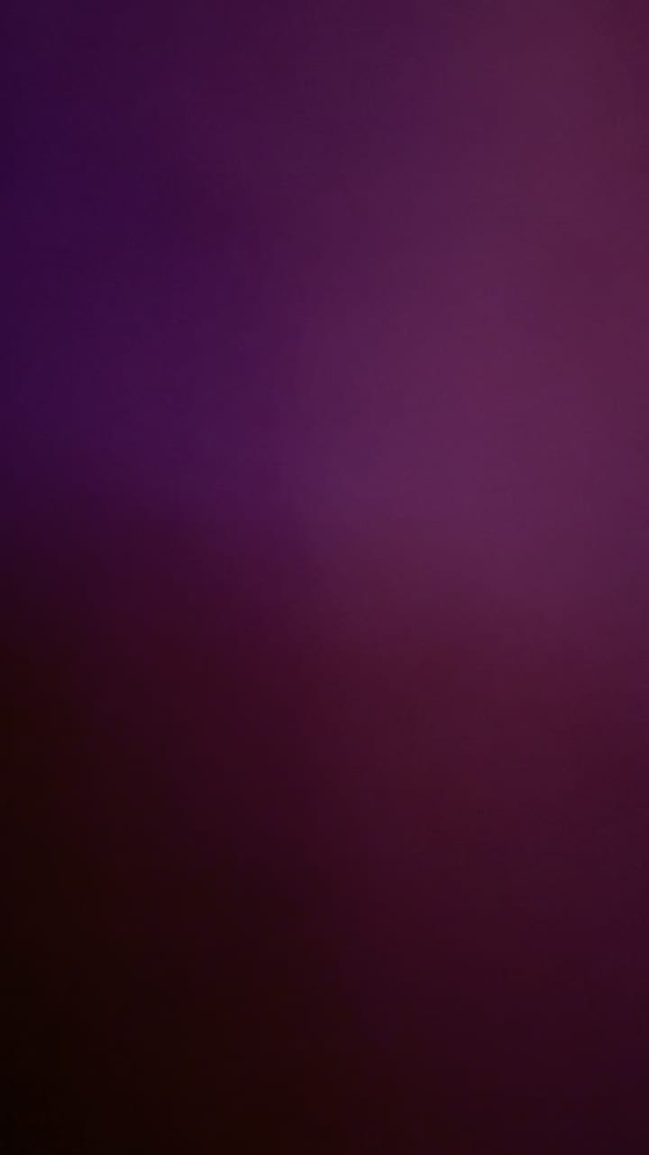 Video review of Festival of The Lion King