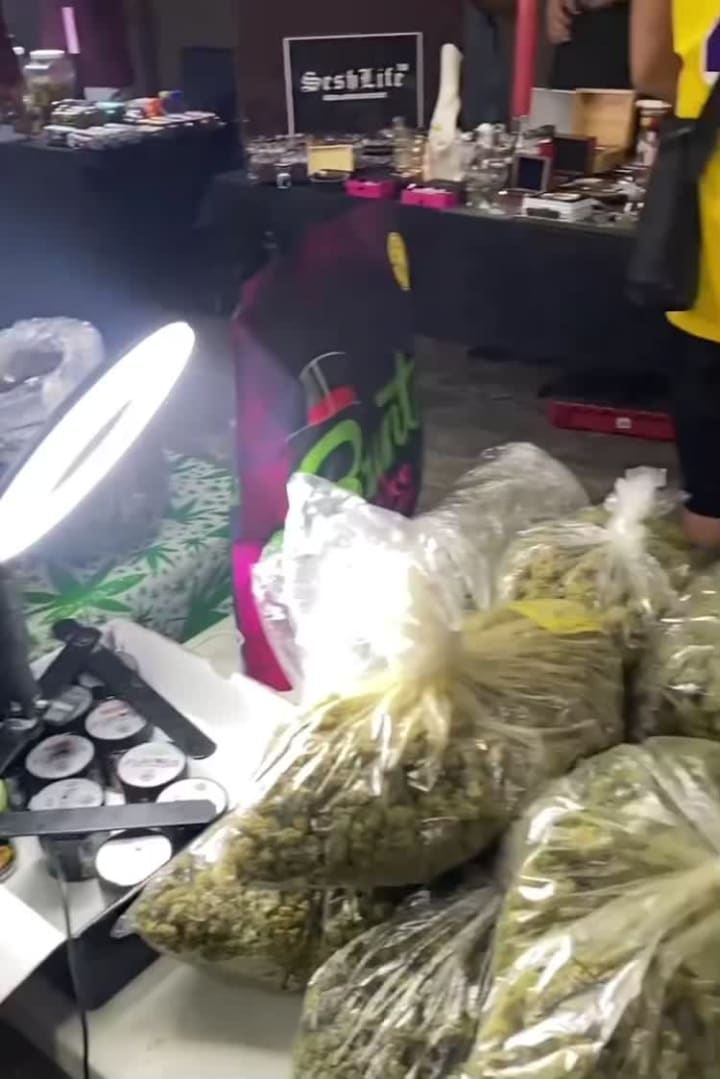 The Mc Carthy Patrick Gallery