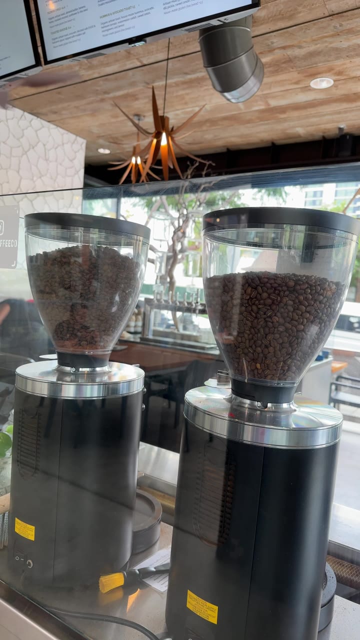 Video review of Lofty Coffee Little Italy Cafe and Bakery