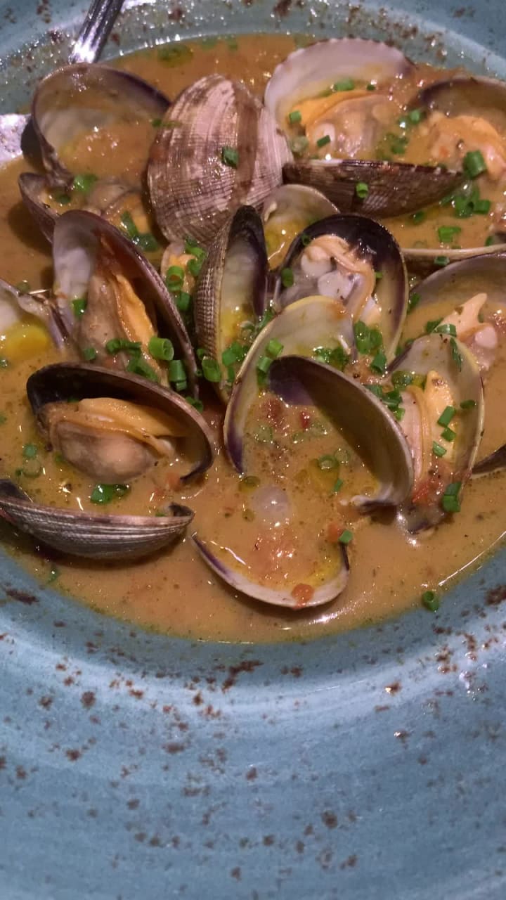 Video review of NIU Kitchen