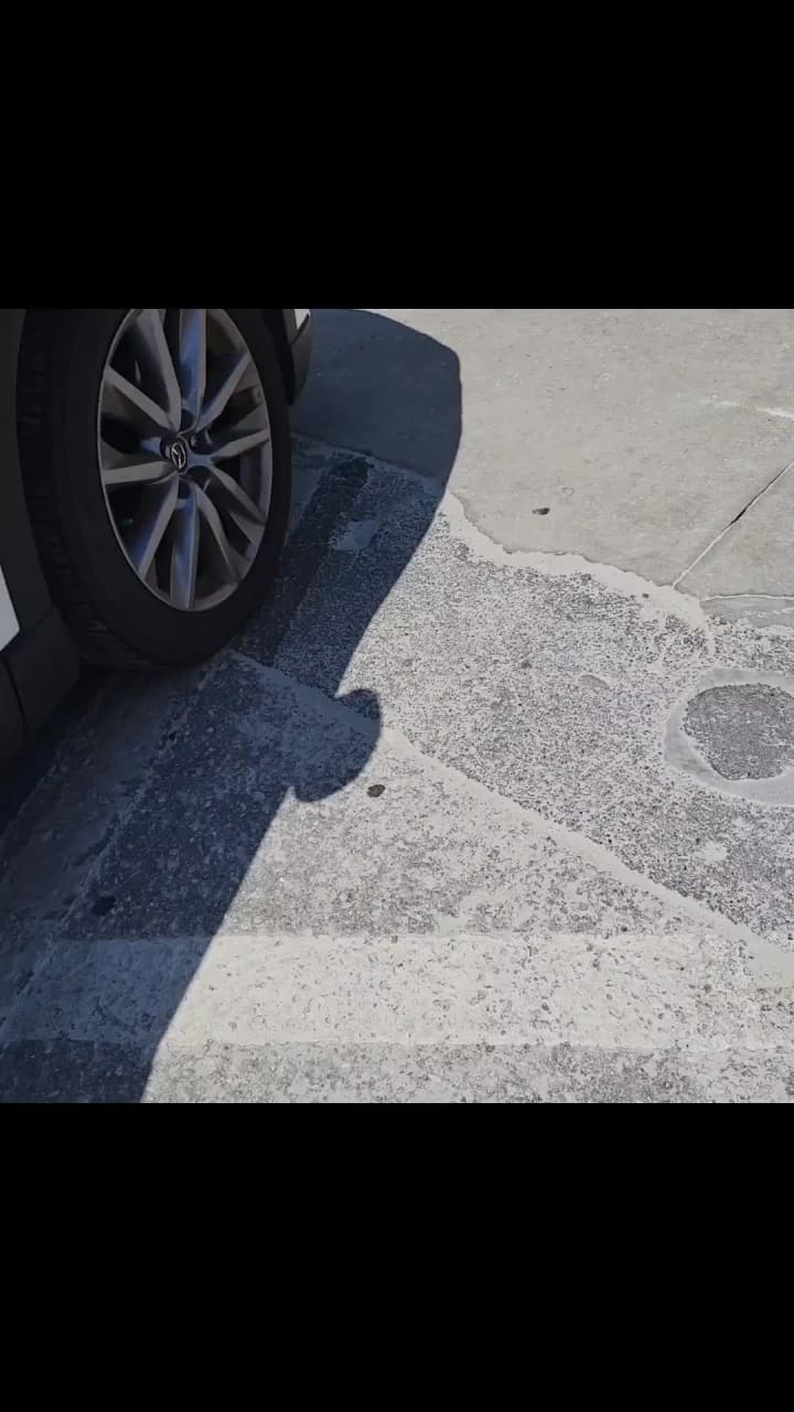 Video review of Frenchy's Rockaway Grill