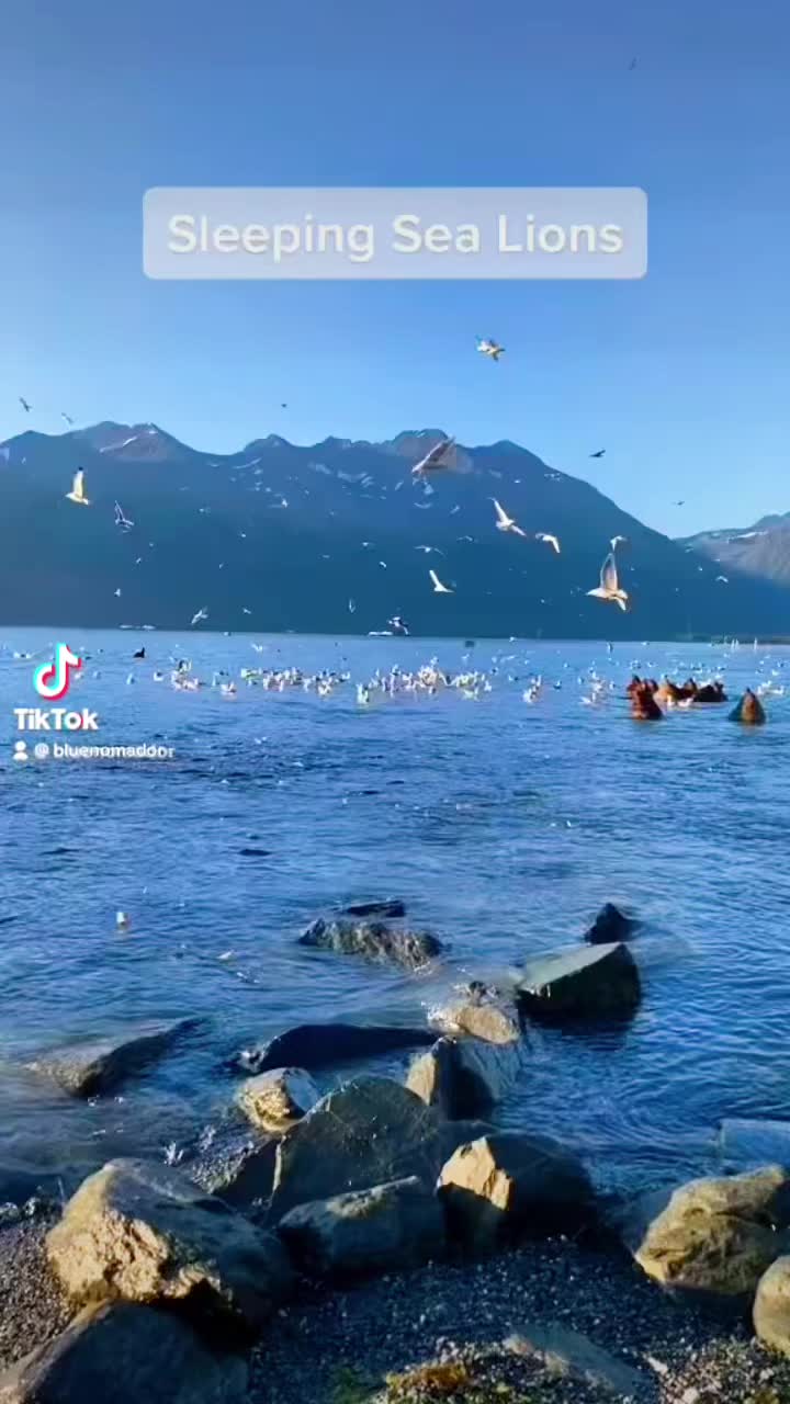 Solomon Gultch Hatchery