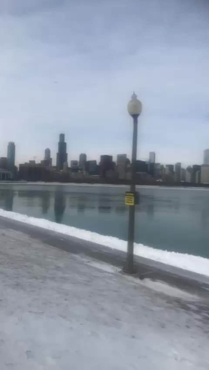 Video review of Navy Pier