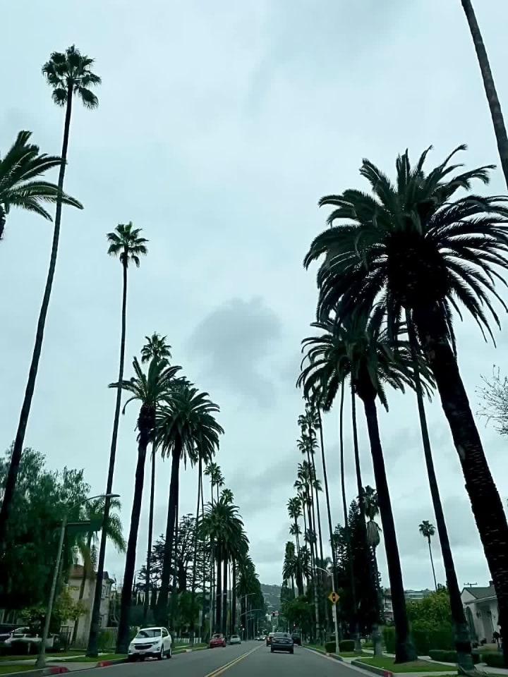 Fairmont Spa Century Plaza