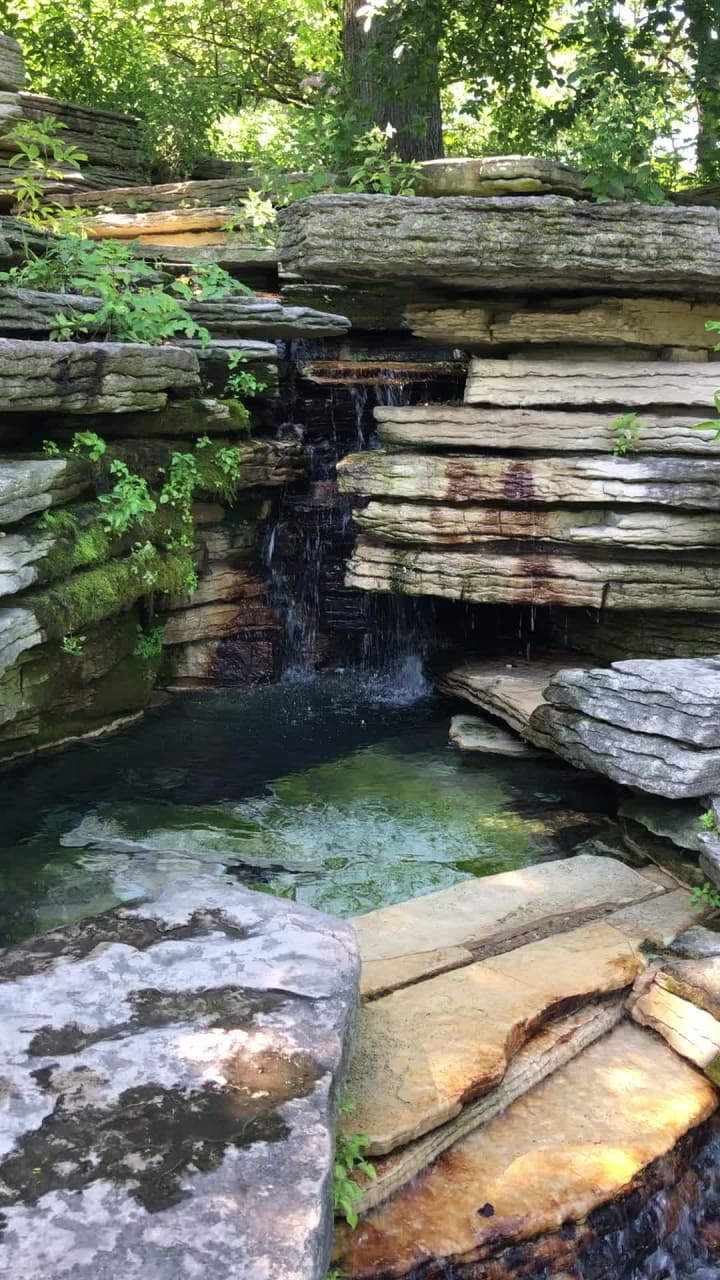 Video review of Alfred Caldwell Lily Pool
