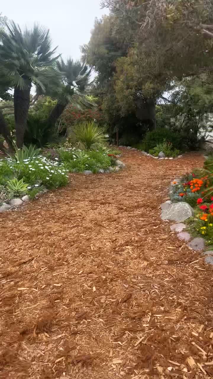Meditation Garden At Encinitas