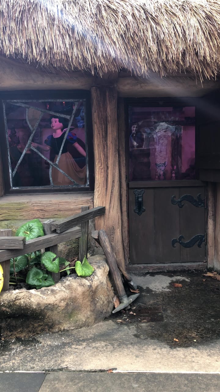 Video review of Seven Dwarfs Mine Train