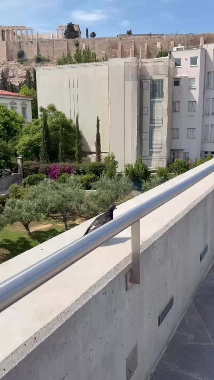Cafe & Restaurant at Acropolis Museum