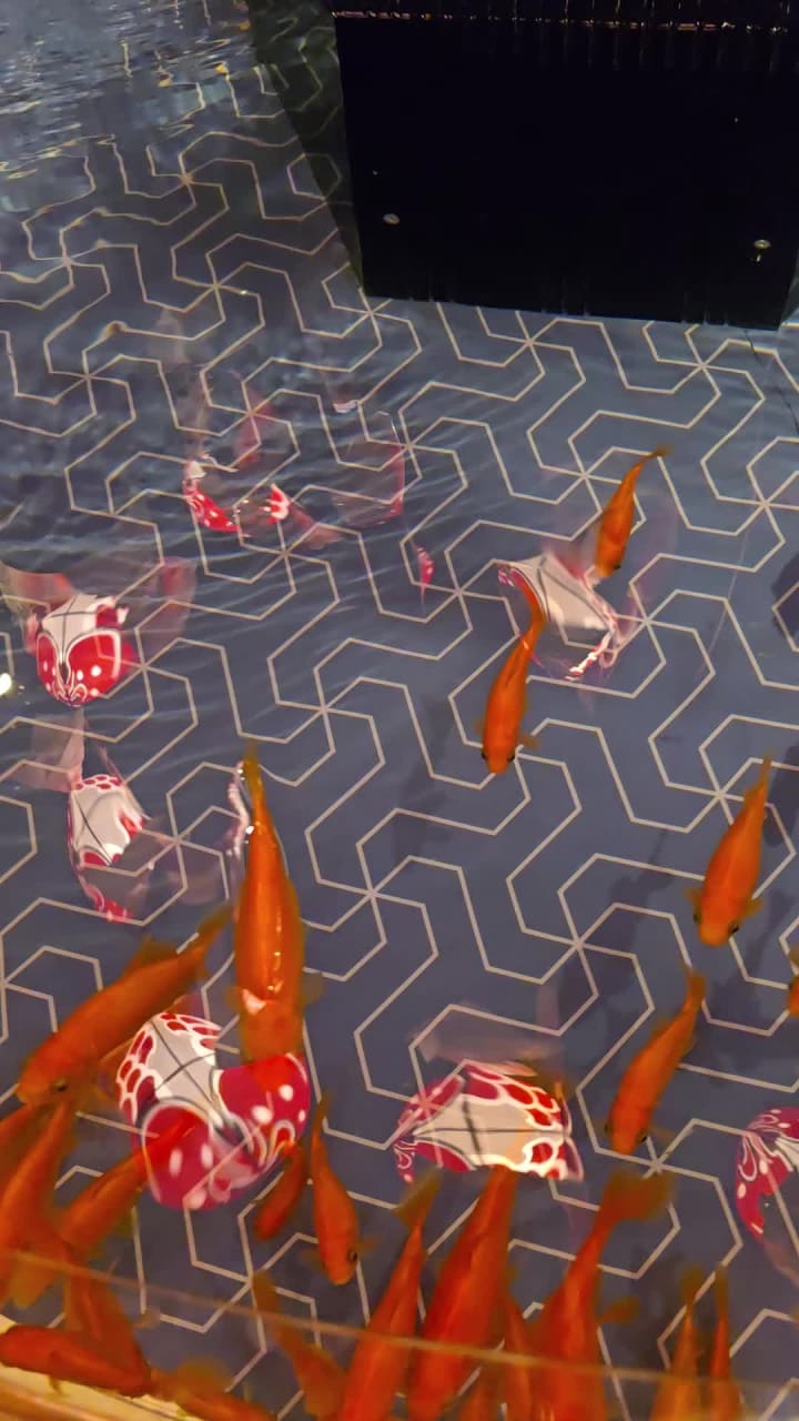 Video review of Sumida Aquarium (すみだ水族館)