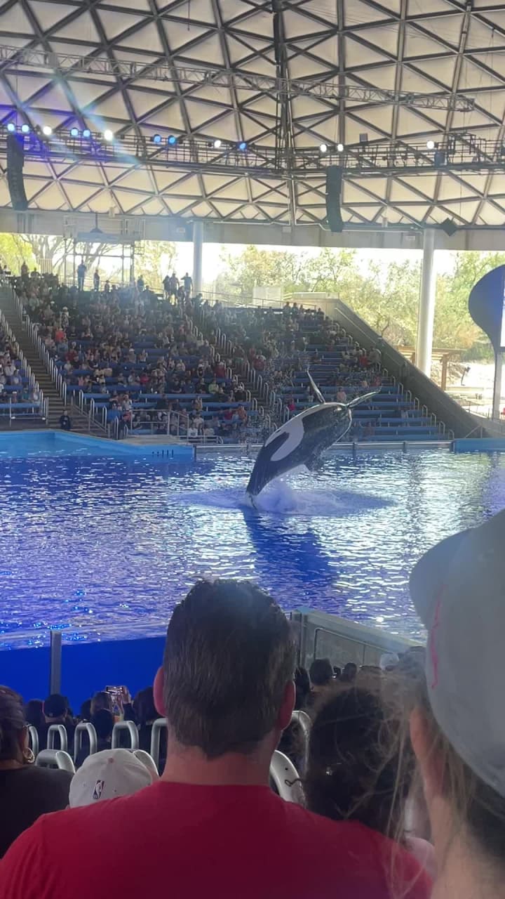 Video review of Shamu Theater