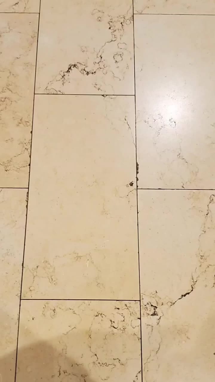 Mango Like Desserts Square One