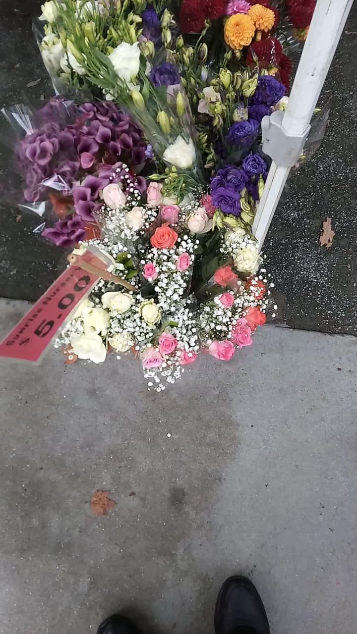 Video review of Todos Santos Plaza