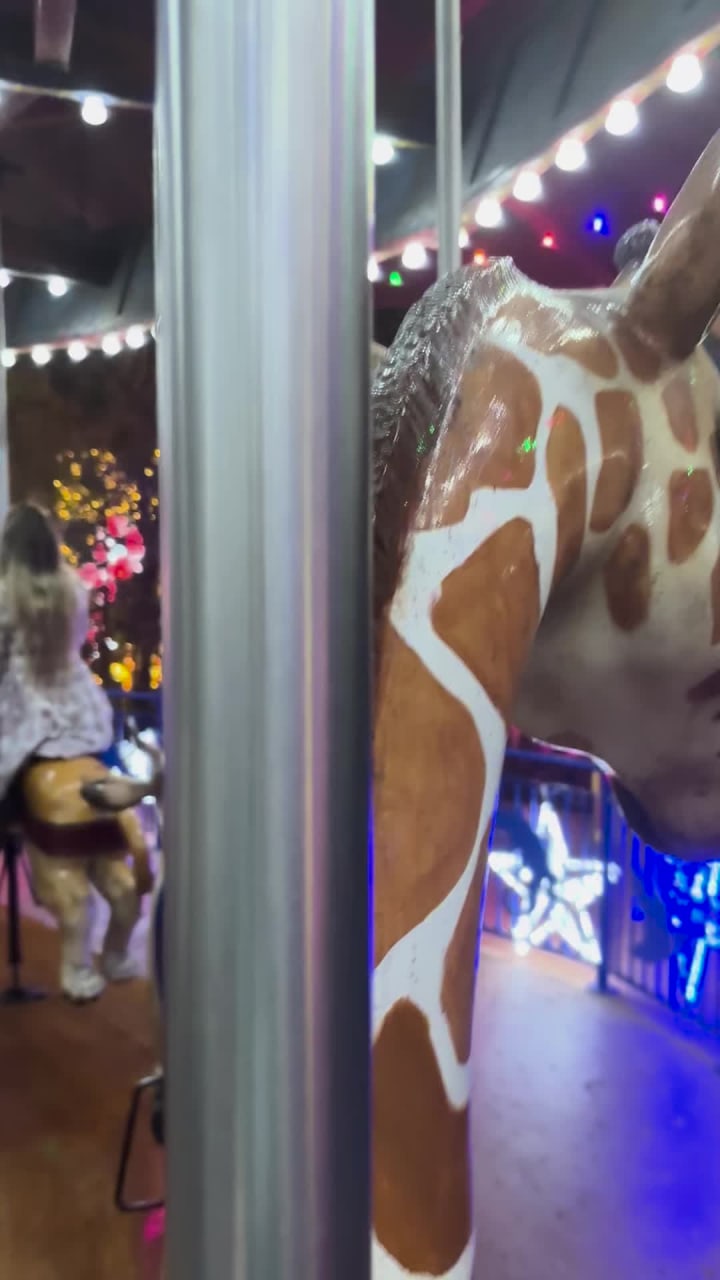 Houston Zoo Carousel