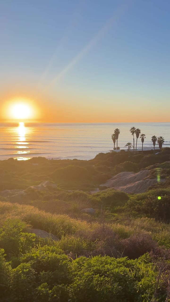 Video review of Sunnies