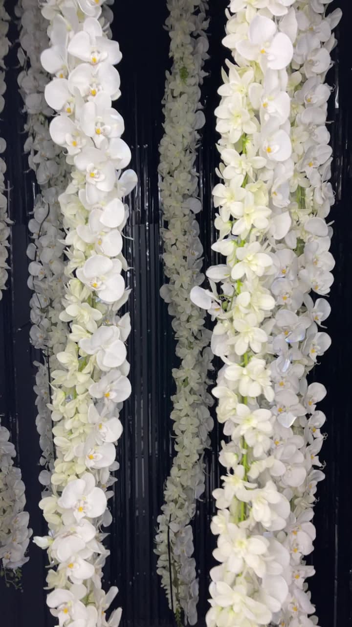 Realm of the 52 Remedies