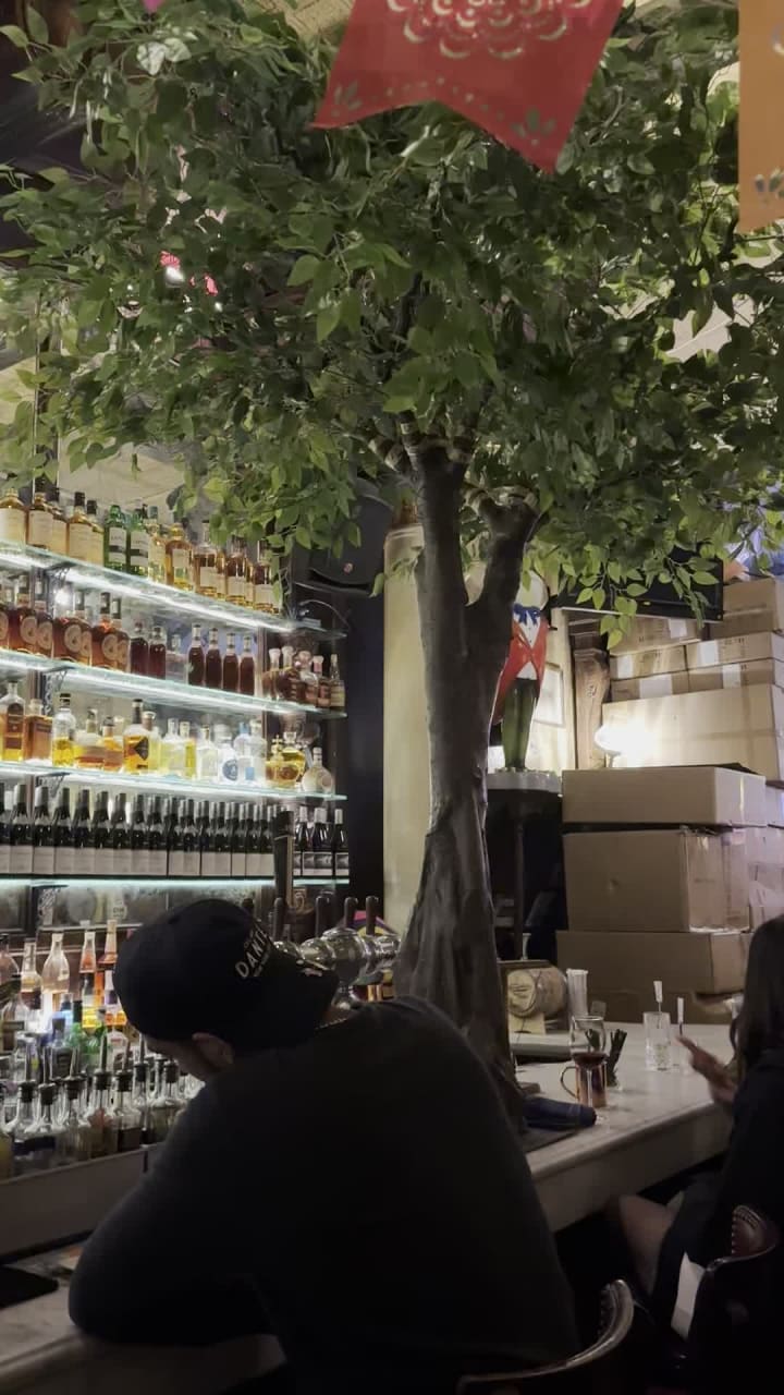 Video review of Lillie's Union Square